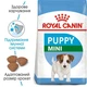 Сухий корм Royal Canin MINI PUPPY для цуценят міні порід 800 г 3182550792929 - изображение 4