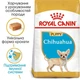 Сухий повнораціонний корм для цуценят Royal Canin Chihuahua Puppy породи чихуахуа віком від 2 до 8 місяців 1.5 кг 24380151 - зображення 5