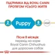 Сухий повнораціонний корм для цуценят Royal Canin Chihuahua Puppy породи чихуахуа віком від 2 до 8 місяців 1.5 кг 24380151 - зображення 7