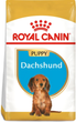 Сухий корм для щенят Такса Royal Canin Dachshund Puppy 1.5кг (3182550722575) (24370151) - зображення 1