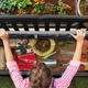 Лавка-ящик для зберігання Keter Eden Garden Bench 265 л 7290106923423 - зображення 4