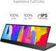Монитор портативный сенсорный 14" Asus ProArt PA147CDV Full HD IPS 60 Гц Б/В - изображение 7
