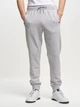 Spodnie dresowe męskie Big Star Pylyp XL Szare (5900714626044) - obraz 1