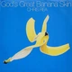 Chris Rea – God’s Great Banana Skin (1992) Audio CD (імпорт, буклет) - зображення 1