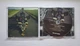 Pink Floyd – Ummagumma (1969) 2 Audio CD (імпорт, буклет) - зображення 4