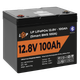 Акумулятор LP LiFePO4 12V (12,8V) - 100 Ah (1280Wh) (Smart BMS 100А) з BT пластик для ДБЖ - изображение 4