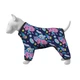 Одяг Collar Waudog Clothes Дощовик "Рік та Морті 1" для собак XS25 (z5325-0280) - зображення 1