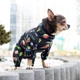 Одяг Collar Waudog Clothes Дощовик "Рік та Морті 2" для собак XS22 (z5322-0281) - зображення 2