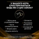Лікувальний корм Purina Pro Plan Veterinary Diets Veterinary Diets NF Renal Function Early Care Сухий корм для дорослих котів для підтримання функції нирок при хронічній хворобі нирок на ранніх стадіях 350 г (7613287882219) - зображення 4