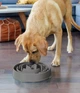 Миски и контейнеры Outward Hound L Fun Feeder Дроп Миска-лабиринт для собак серый (oh69892) - изображение 3