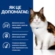 Консервированный корм Hill's PD Feline W/D Chicken Влажный корм для кошек при сахарном диабете и для контроля веса, с курицей 85 г (607211) - изображение 3