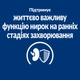 Лечебный корм Hill's PD Canine K/D Early Stage Сухой корм для собак для поддержки функции почек на ранней стадии заболевания 1,5 кг (605881) - изображение 4