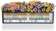 Вазон Lechuza Balconera Color 80 Песочно-коричневый (4008789157065) - изображение 4