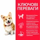 Сухой корм Hill`s Science Plan Canine Adult Small & Miniature Lamb для собак мелких пород с ягненком 6 кг (арт 604319) - изображение 3