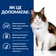 Сухий корм для котів Hill's PRESCRIPTION DIET w/d при цукровому діабеті, з куркою, 3 кг - изображение 4