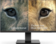 Монитор 24" Koorui 24N1A Full HD VA 75 Гц g2 - изображение 4