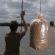 ПВА пакет 70х100мм 20шт V-Carp - изображение 1