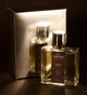 Ароматизатор Esse Car Perfume Ванильное дерево (4820239121293) - изображение 1