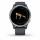 Смарт-часы Garmin Venu Silver Stainless Steel Bezel w. Granite Blue and Silicone B. (010-02173-01/03) 010-02173-03 () - изображение 6