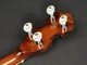 Банджо Richwood RMB-604-SS - изображение 5