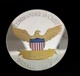 Сувенирная монета Трамп США в пластиковой прозрачной коробке/чехле (530284940) Золото с серебром - изображение 6