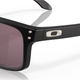 Окуляри захисні Oakley® SI Holbrook™ Banded Prizm Daily Polarized - зображення 6