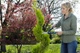 Ножницы для живой изгороди механические Gardena PrecisionCut (12302-20.000.00) - изображение 9