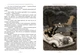Пеппі Довгапанчоха в південних морях. Книга 3. Астрід Ліндґрен (9786178373382) - зображення 2