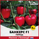 Перец Банкерс F1, 8 шт - изображение 1