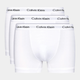 Zestaw majtek szorty Calvin Klein Underwear 0000U2662G-100 L 3 szt Białe (5051145189223) - obraz 1