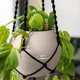 Підвіс Lechuza Macramé Cotton Pure 120 Чорний (13899) - зображення 3