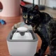 поилка фонтан для домашних животных кошек, собак Pet Water FOUNTAIN - изображение 3