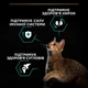 Сухий корм Purina Pro Plan Original Adult Chiken для котів з куркою 400 г (арт 7613036545068) - зображення 3