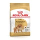 Сухой корм Royal Canin Pomeranian Adult для собак породы Померанский шпиц 1.5 кг (арт 1255015) - изображение 1