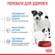 Сухой корм Royal Canin Mini Starter для щенков мелких пород 8 кг (арт 2990080) - изображение 4
