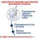 Сухий корм Royal Canin Maxi Ageing 8+ для собак великих порід старше 8 років 15 кг (арт 24541500) - зображення 4