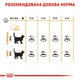 Сухой корм Royal Canin Hair & Skin Care для взрослых котов с проблемной кожей и шерстью 2 кг (арт 2526020) - изображение 3