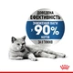 Влажный корм Royal Canin Light Weight Care для взрослых котов при лишнем весе 85 г (арт R223154) - изображение 5