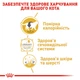 Вологий корм Royal Canin British Shorthair для дорослих котів породи британська короткошерста 85 г (арт 20320010) - зображення 4