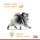 Влажный корм Royal Canin Pomeranian loaf для взрослых собак породы померанский шпиц 85 г (арт 12560010) - изображение 3