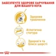Сухой корм Royal Canin Bengal Adult для взрослых котов породы Бенгальская 2 кг (арт 4370020) - изображение 4