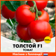 Голландские Семена Bejo Томат Толстой F1 1000 шт - изображение 1
