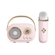 Портативна колонка із мікрофоном Winso C20Plus 5W Bluetooth, USB, microSD, AUX, Type-C Pink - зображення 3