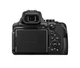 Компактний фотоапарат Nikon Coolpix P1000 (VQA060EA) - зображення 8