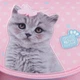 Шкільний набір Kite Studio Pets 35х25х13 см Рожевий (SET_SP24-501S) - зображення 13