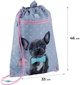 Шкільний набір Kite Studio Pets 38x28x16 см Сірий (SET_SP24-700M) - зображення 16