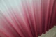 Тюль VR-Textil 757т Омбре шифон 300х270 см Бордовий із білим (42-0176) - зображення 6