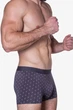 Трусы мужские Sergio Dallini SD2902-4, серый якорь, XL - изображение 2
