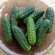 Семена Огурец Праздник поля F1, 0,3 г (Агромакси) - изображение 3