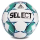 Мяч футбольный SELECT CAMPO PRO IMS №4 - изображение 1